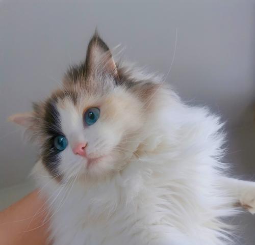 MySQL 8.0不讲武德，给我挖坑！